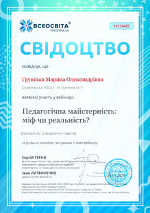 №XV216489
