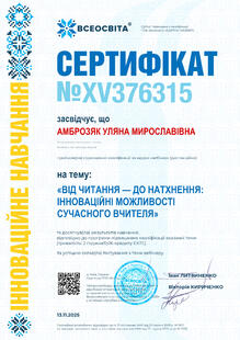№XV376315