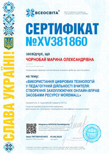 №XV381860