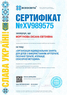 №XV989575
