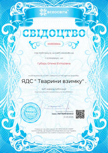 №XX800664
