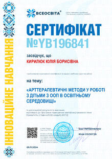№YB196841