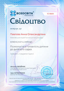 №YC198091