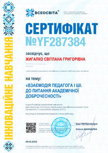 №YF287384