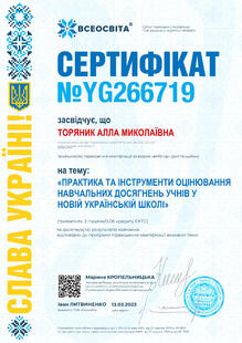 №YG266719