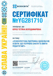 №YG281710