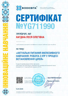 №YG711990