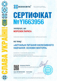 №YI663956