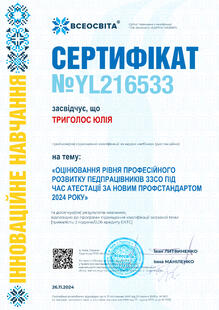 №YL216533