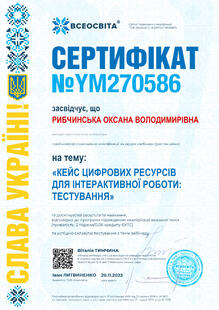 №YM270586