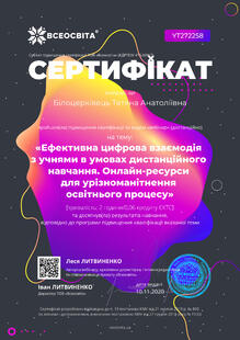 №YT272258