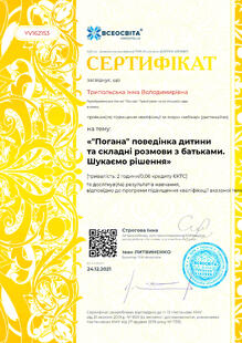 №YV162153