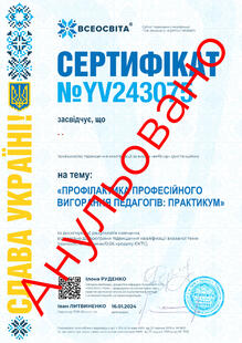 №YV243075