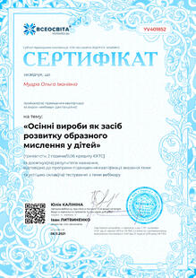 №YV401852