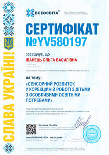 №YV580197