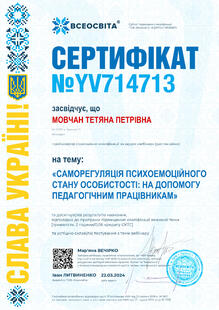 №YV714713