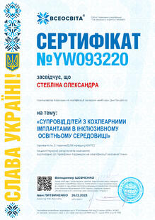 №YW093220