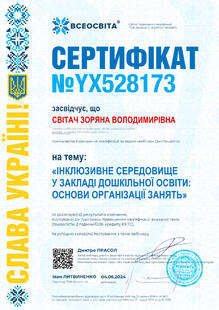 №YX528173