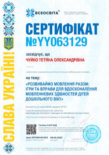 №YY063129