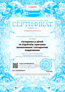 №YY538781