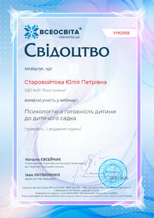 №YY902908