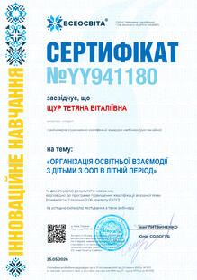 №YY941180