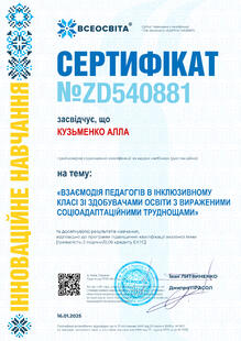 №ZD540881