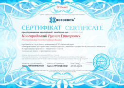 Сторона №1