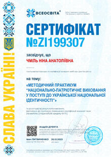 №ZI199307
