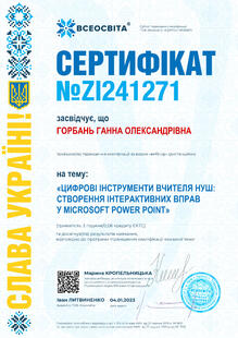 №ZI241271