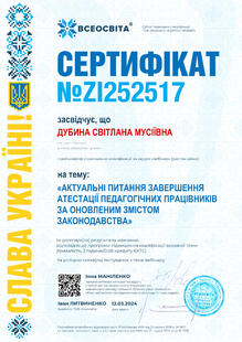 №ZI252517