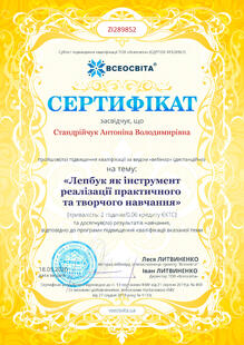 №ZI289852