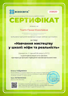 №ZI385251