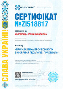 №ZI518817