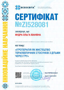 №ZI528081