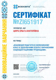 №ZI651917