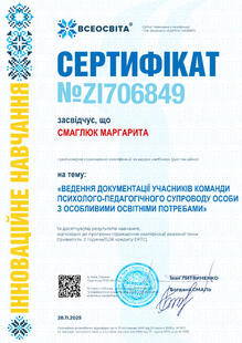 №ZI706849