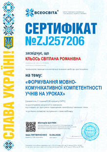 №ZJ257206