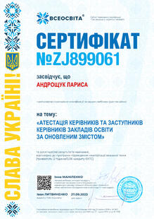 №ZJ899061