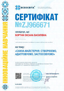 №ZJ966671