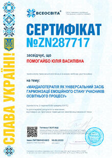 №ZN287717