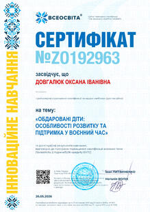 №ZO192963