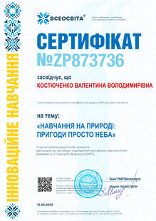 №ZP873736