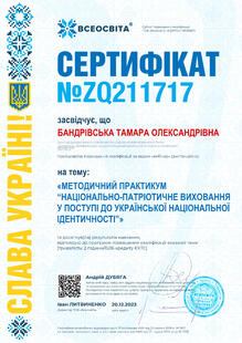 №ZQ211717