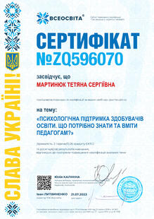 №ZQ596070