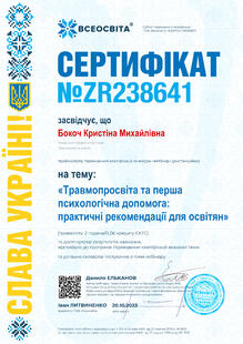 №ZR238641