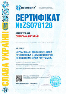 №ZS078128