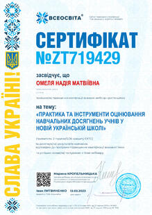 №ZT719429