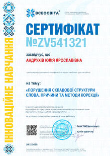 №ZV541321