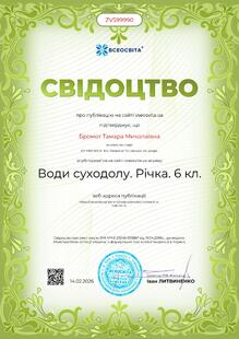 №ZV599990